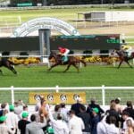 GOSFORD RACE DAY