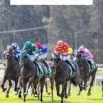 MASTER BUILDERS ASSOCIATION RACE DAY