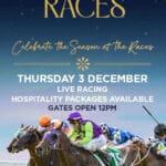 FESTIVE RACE DAY