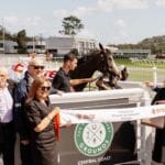 GOSFORD RACE DAY