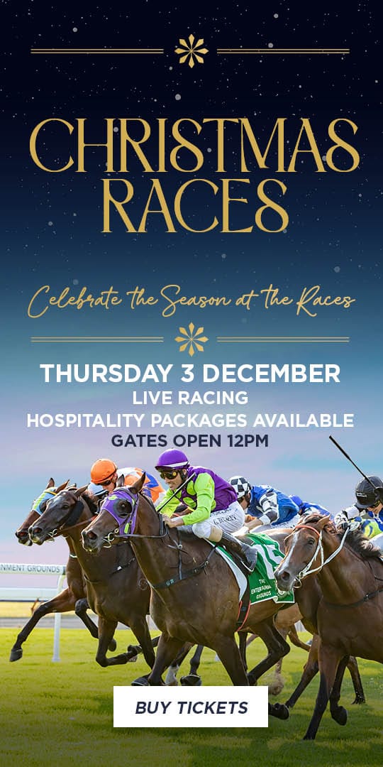 FESTIVE RACE DAY SPONSORED BY LION